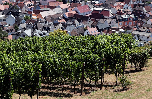 Pflegeimmobilie in Bad Segeberg