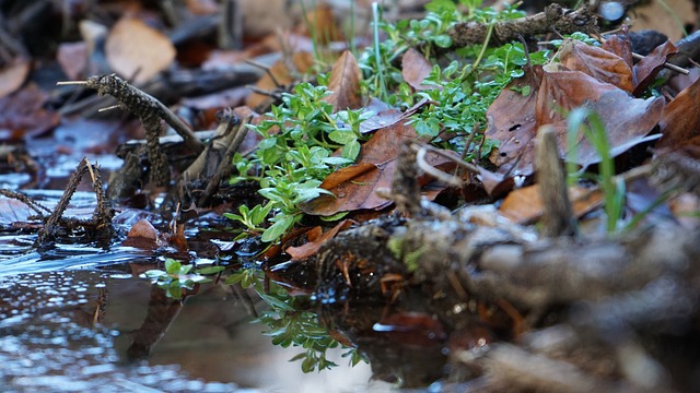 Pflegeimmobilie in Neunburg vorm Wald